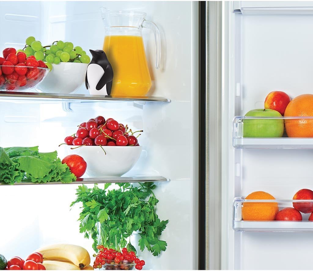 Koelkast-geurverdrijver met ba - Kitchen Gadgets Holder recensie en prijs