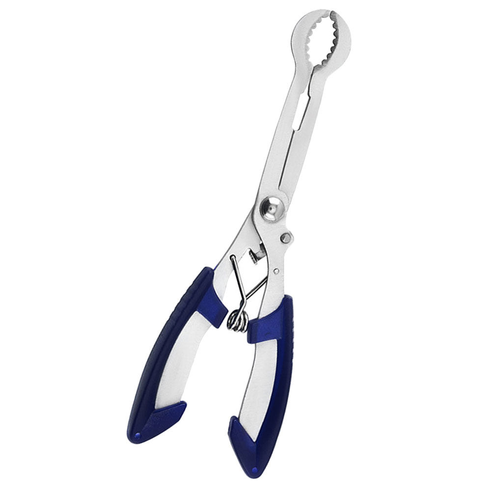 Roestvrijstalen doornenontpitt - Kitchen Gadgets Tools recensie en prijs