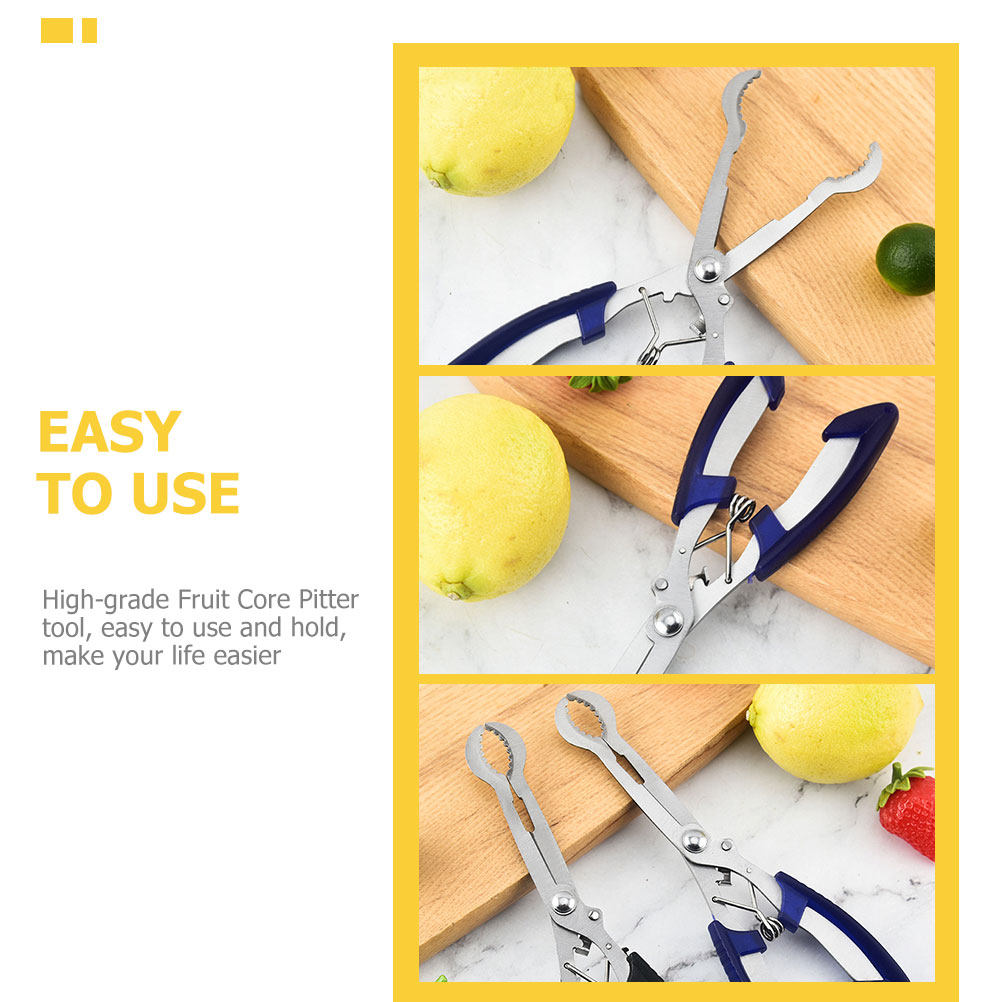 Roestvrijstalen doornenontpitt - Kitchen Gadgets Tools recensie en prijs